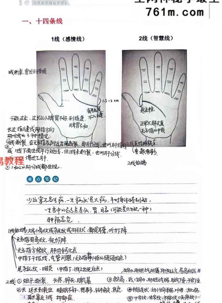 综合望诊 pdf 两册 共150页