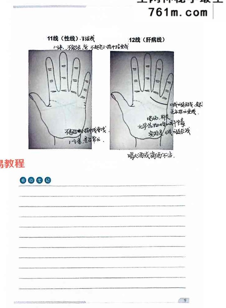 综合望诊 pdf 两册 共150页