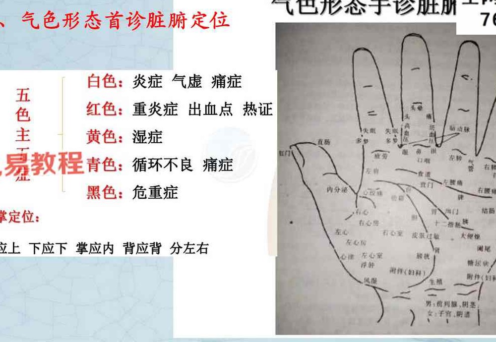 综合望诊 pdf 两册 共150页