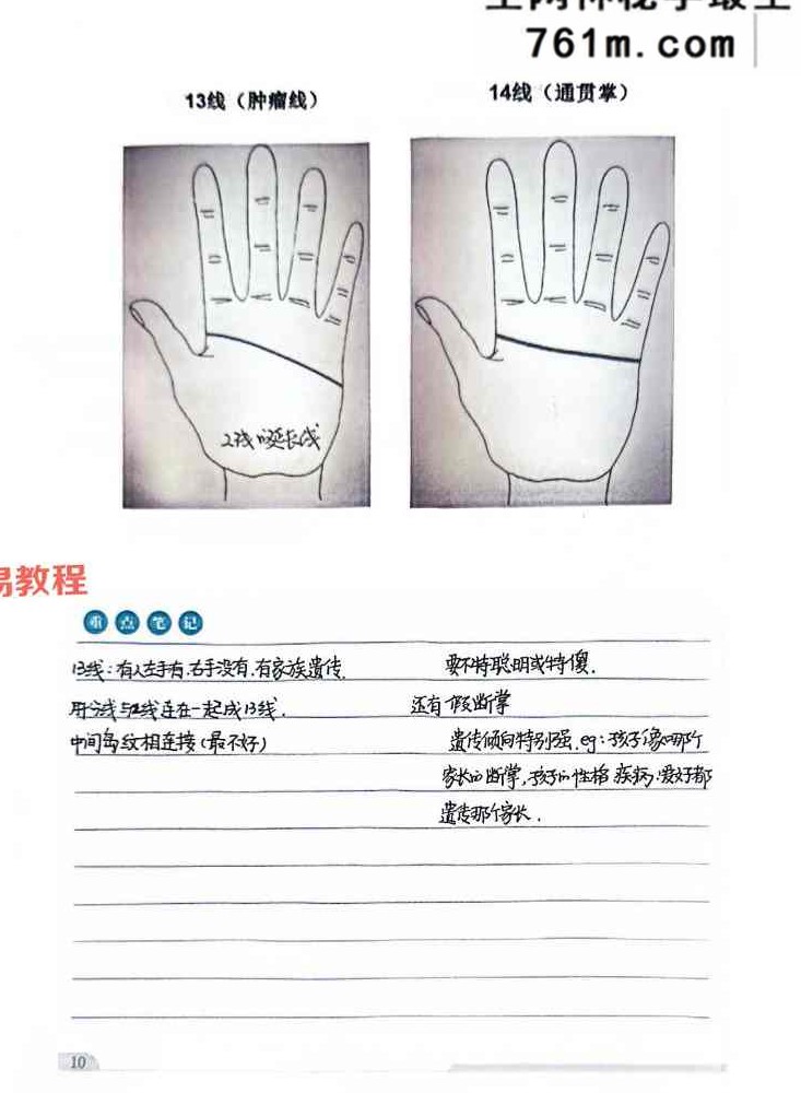 综合望诊 pdf 两册 共150页