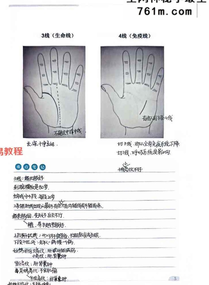 综合望诊 pdf 两册 共150页