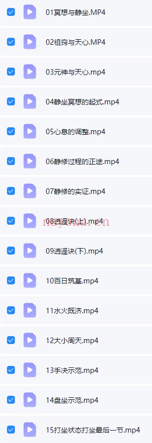 道家绝密正念冥想保姆级教程一个月脱胎换骨15集视频