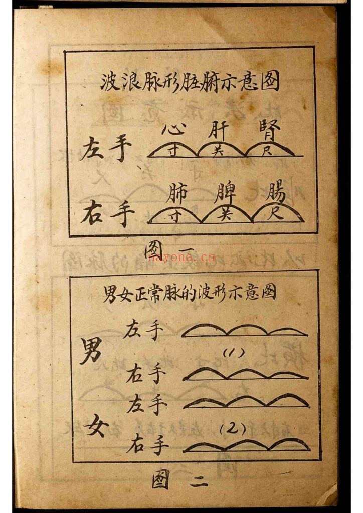 《速成波浪脉诊传心 》9