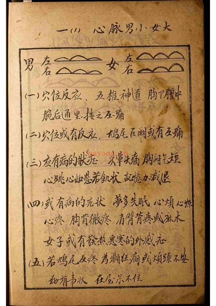 《速成波浪脉诊传心 》9