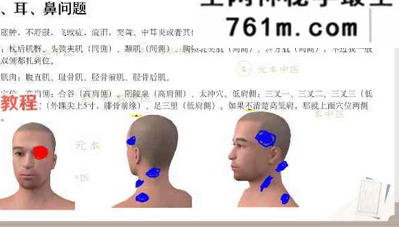 元本针法大合集 5套视频