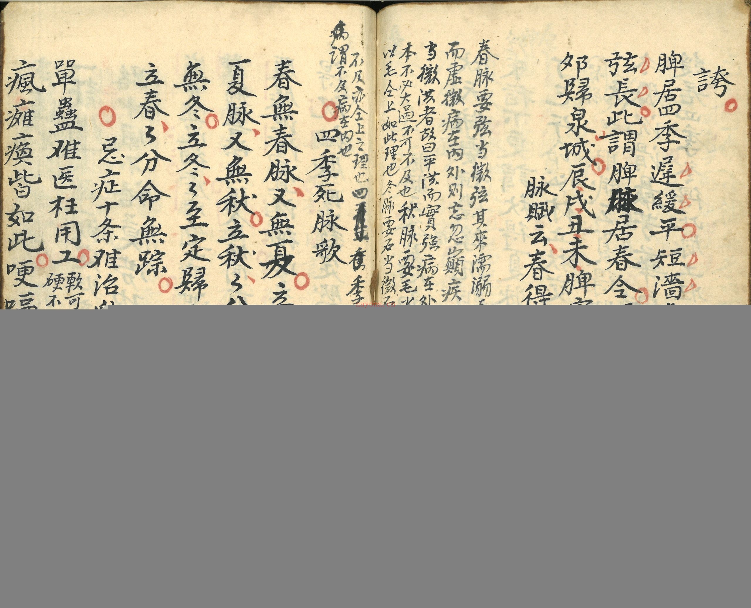 经脉抄本