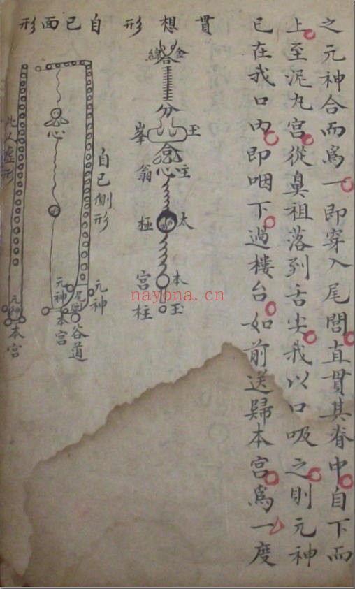 《文昌法》古本（道教书籍大全）