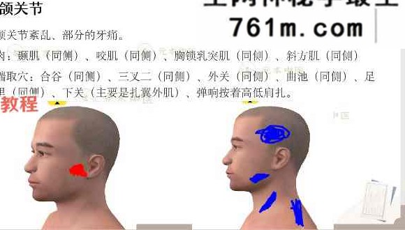 元本针法大合集 5套视频