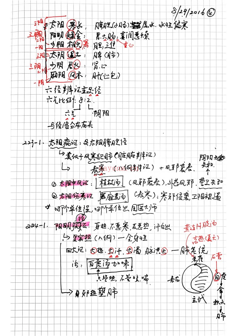 中医学习笔记（2册）