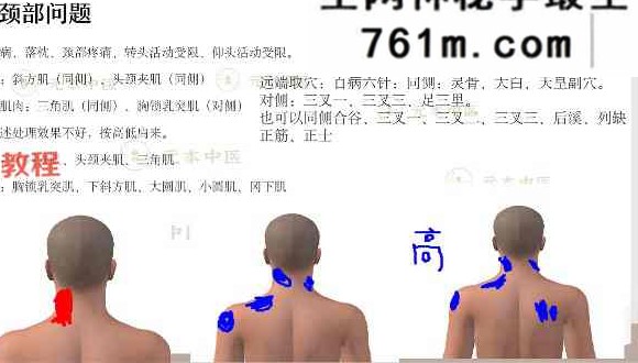 元本针法大合集 5套视频