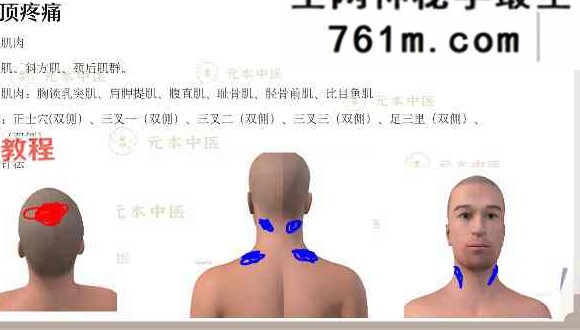 元本针法大合集 5套视频