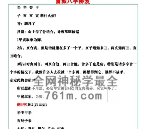 E460易海游龙 盲派八字秘笈-PDF电子书66 页