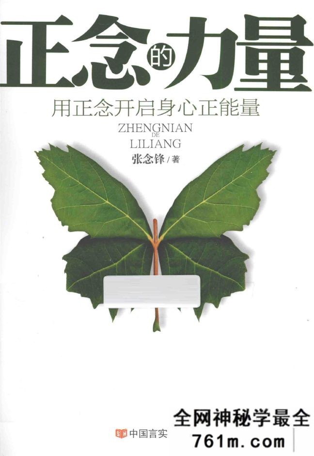 正念的力量