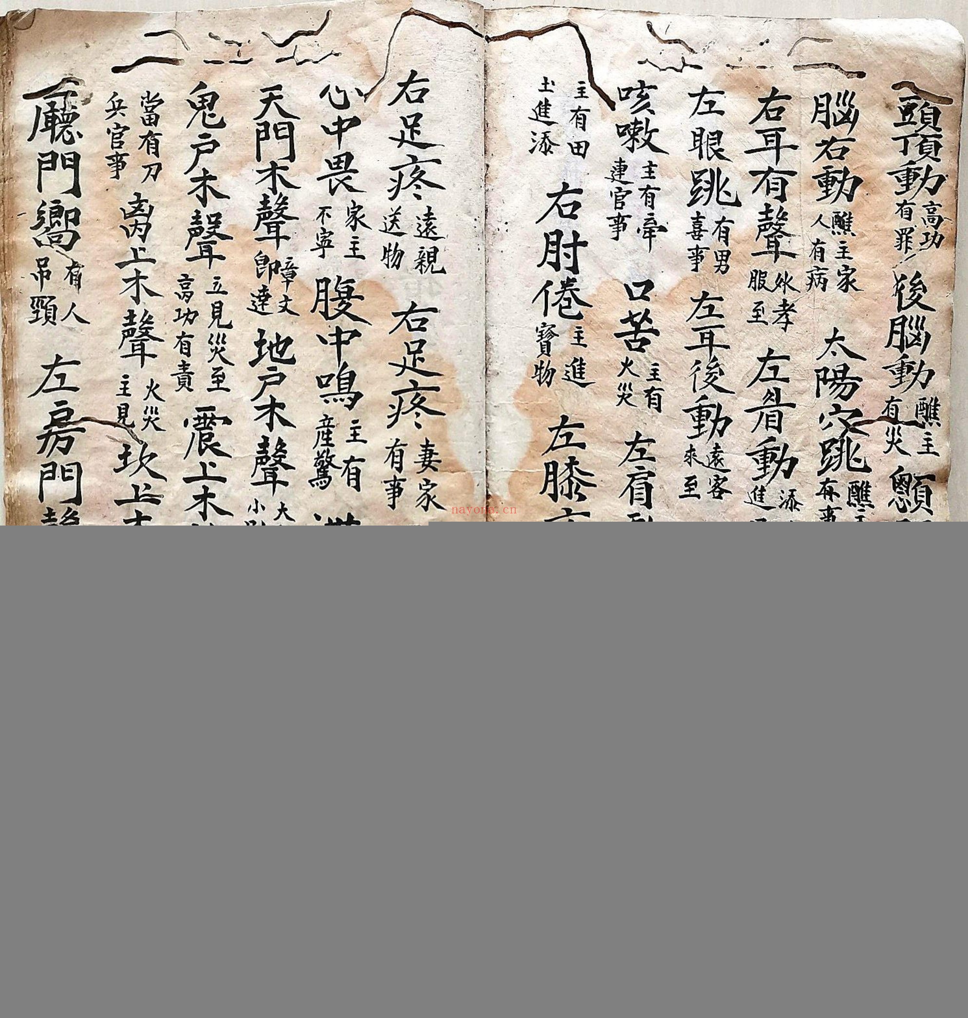 道门秘传一宗