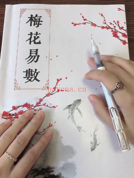 完美梅花易数系统课56集视频 梅花教程
