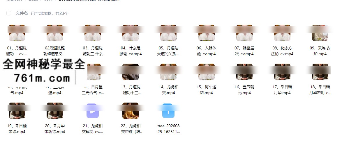 紫觉老师的《丹道洗髓功体系22节课含带练》视频课