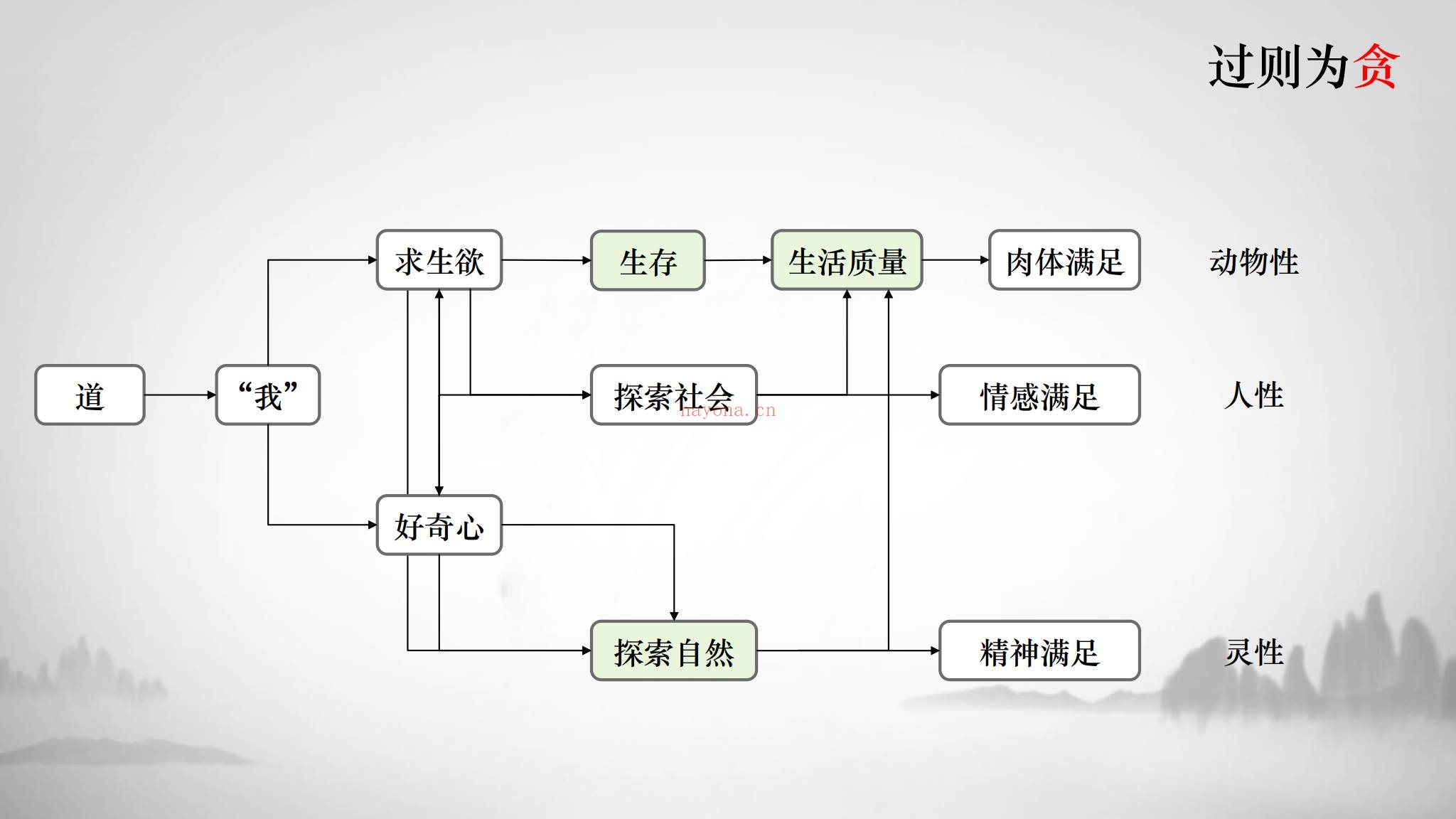 孙隐玄《–内经脉法内景脉法：脉诊从入门到精通附三十六金方》视频12集+课件