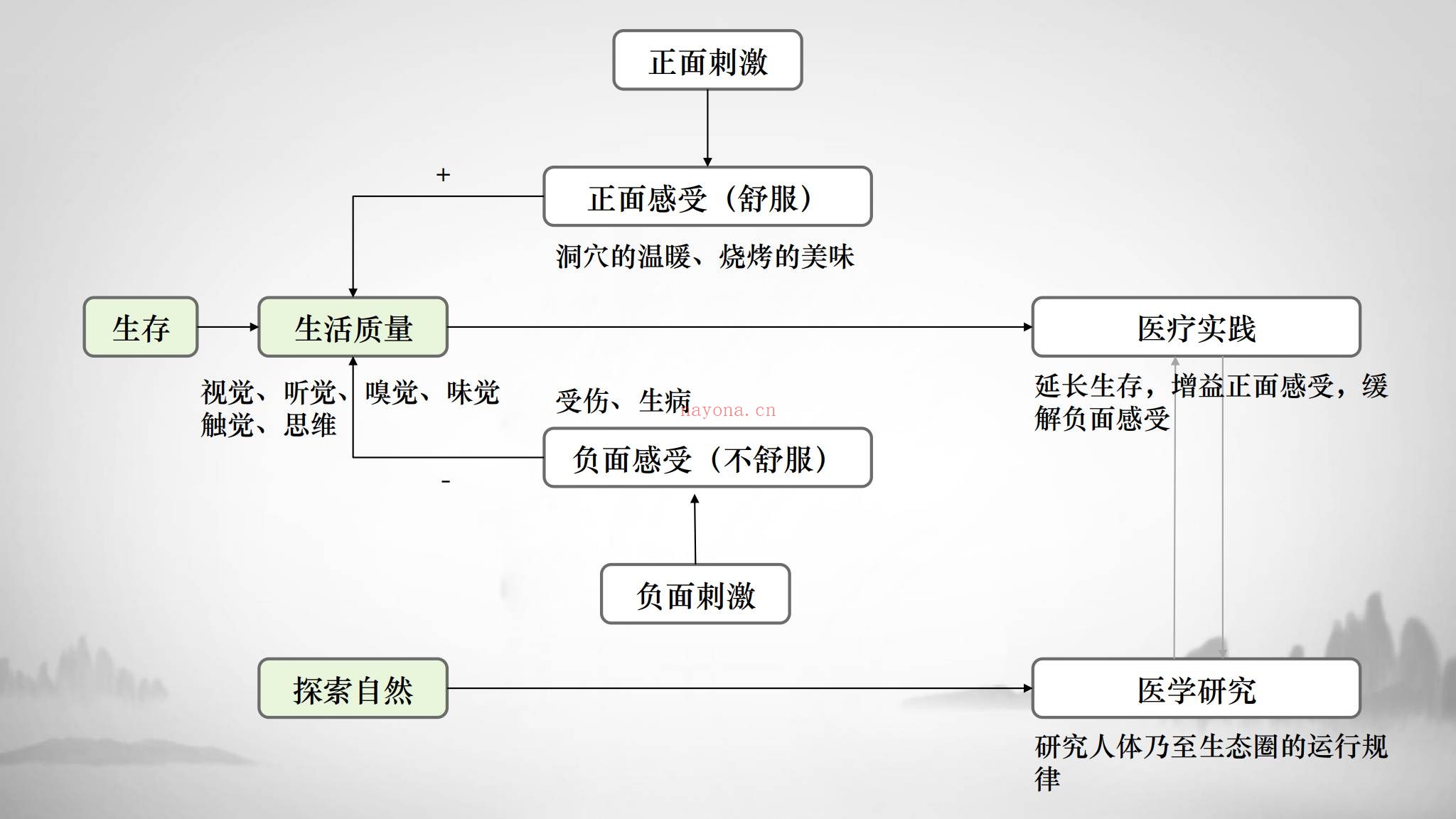 孙隐玄《–内经脉法内景脉法：脉诊从入门到精通附三十六金方》视频12集+课件