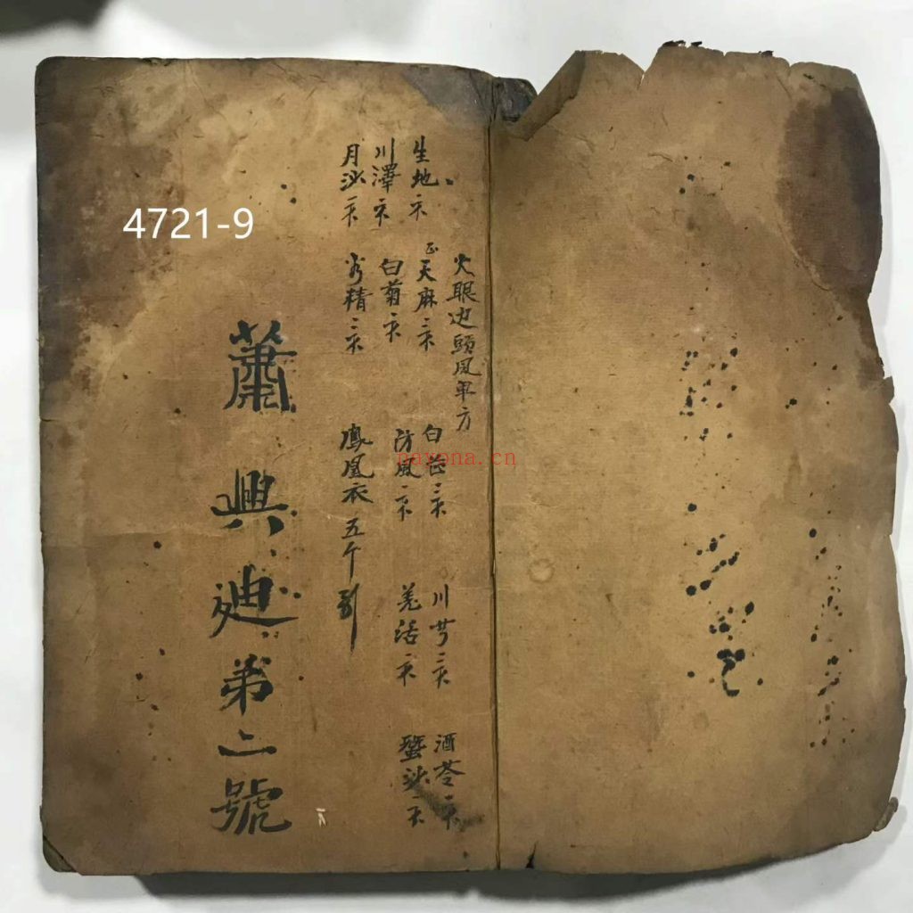 《梅山秘法之五猖兵马》
