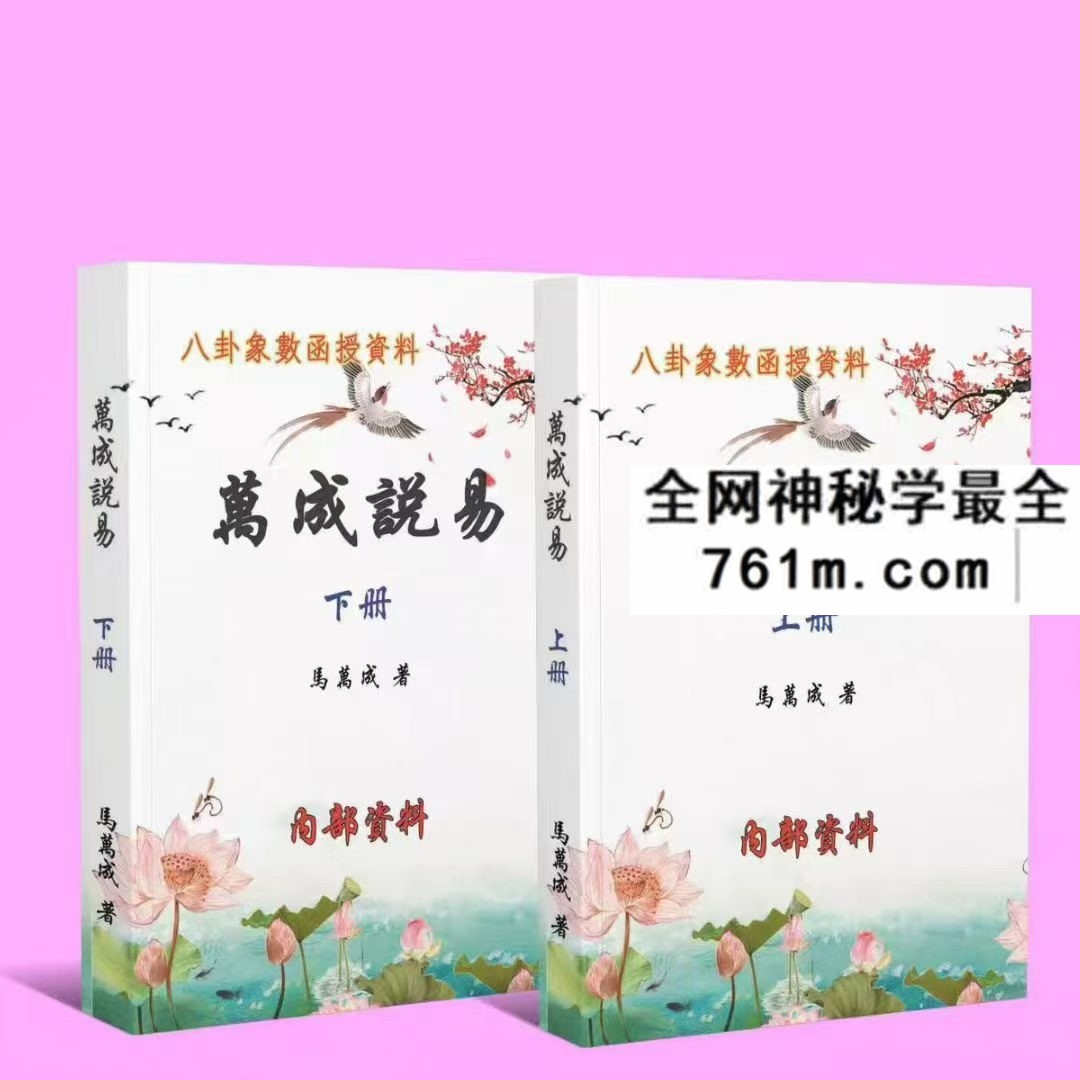 万成说易