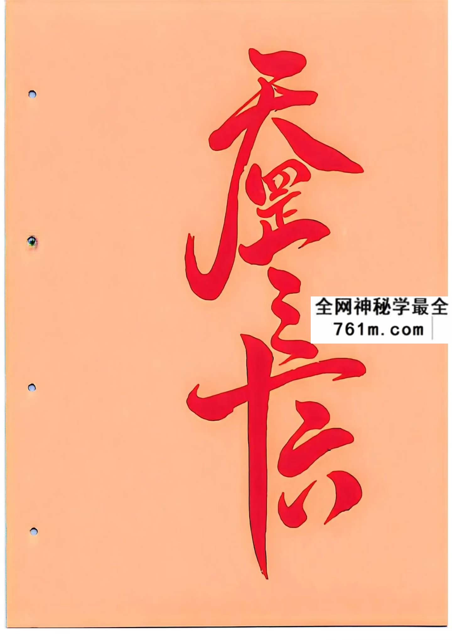 天罡三十六46页：武术气功与传统功法资料