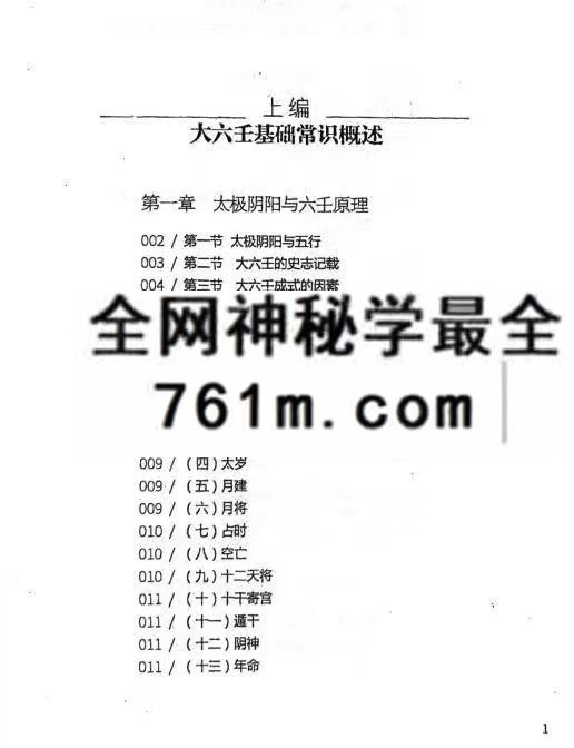 王雷之 壬学正解周易大智慧365页:传统文化资料