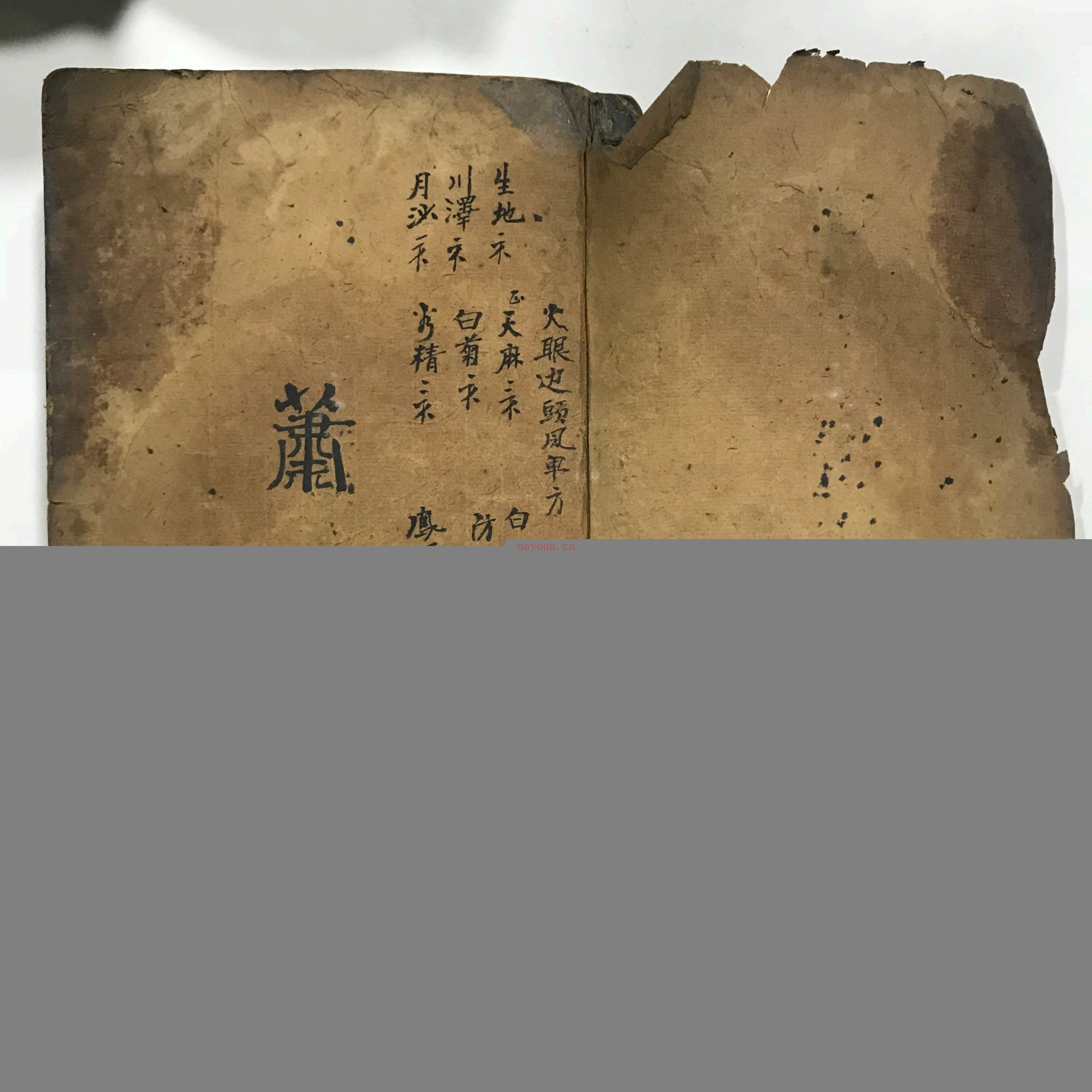梅山秘法之五猖兵马