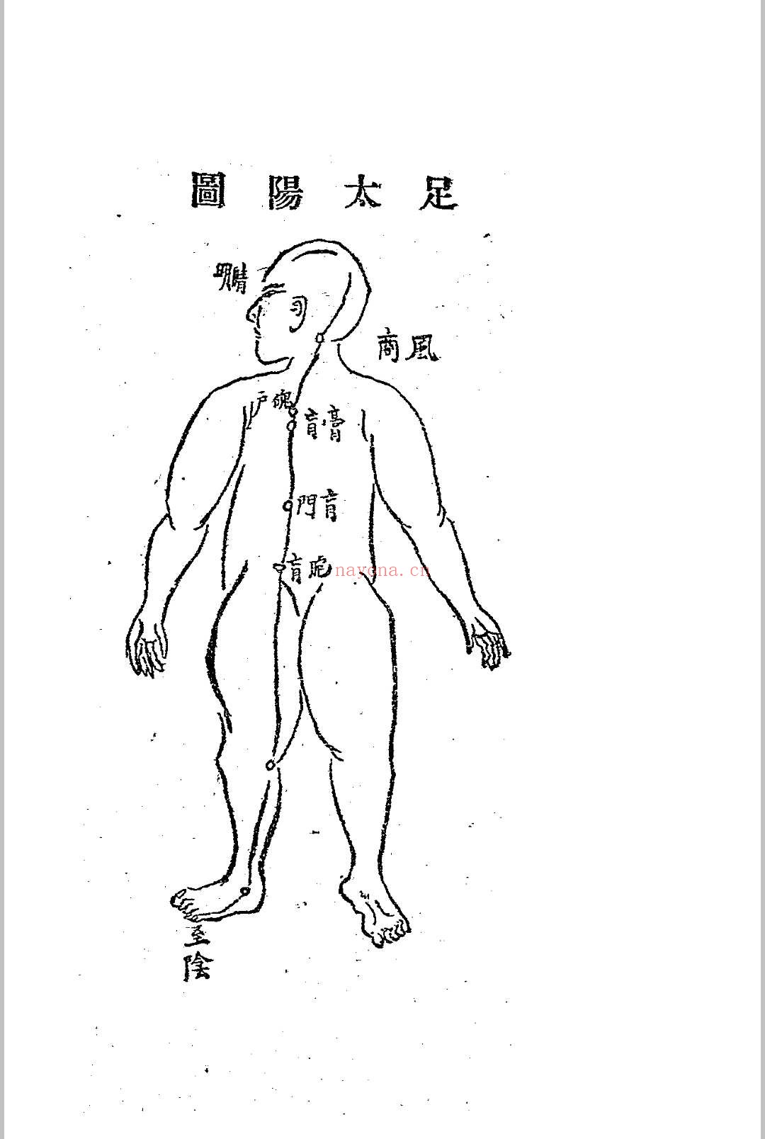 伤科真传秘抄 陈凤山秘传