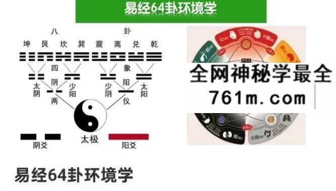朱彦泽 易经64卦环境学12集