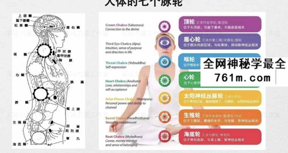 灵媒Psychic实修课14集视频+课件