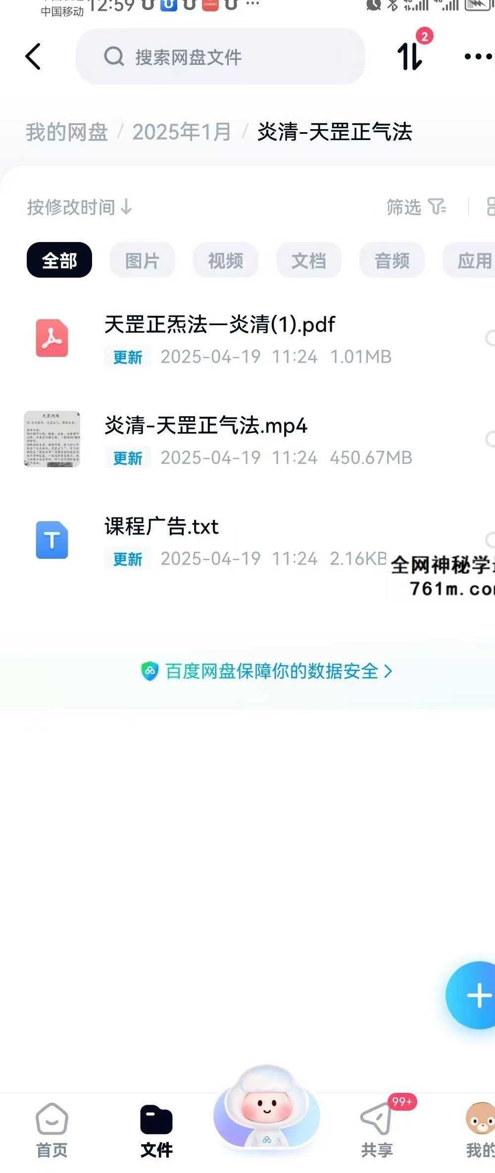炎清 天罡正气法 视频+文档