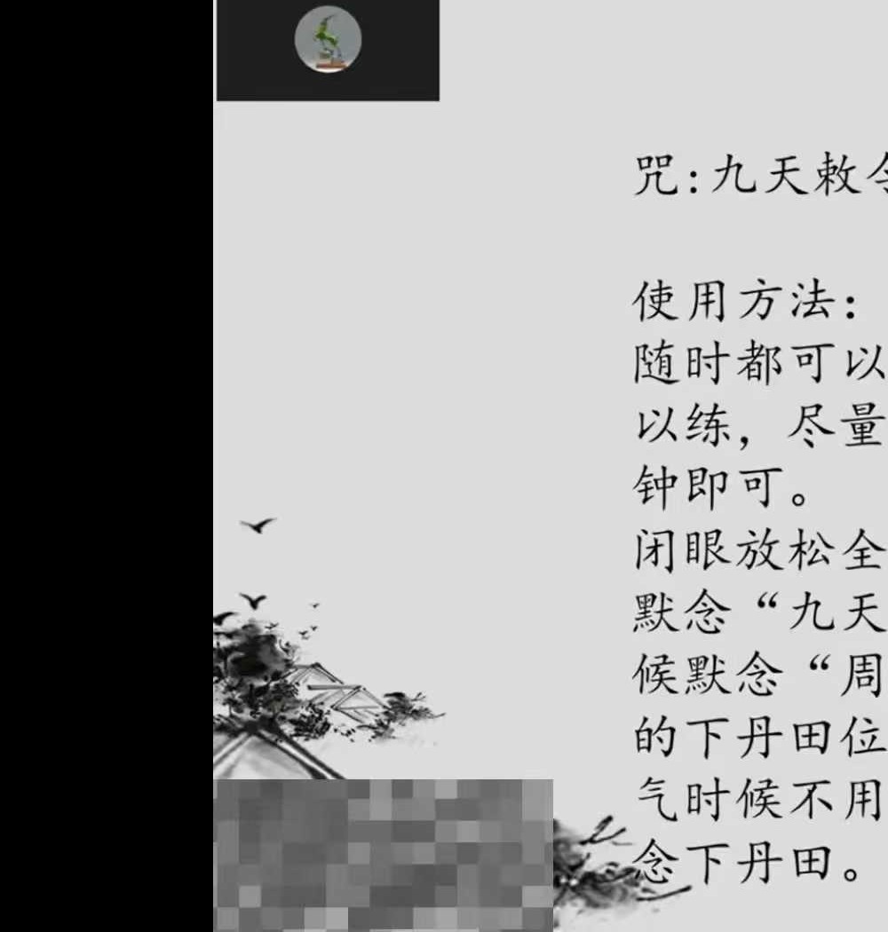 炎清 天罡正气法 视频+文档