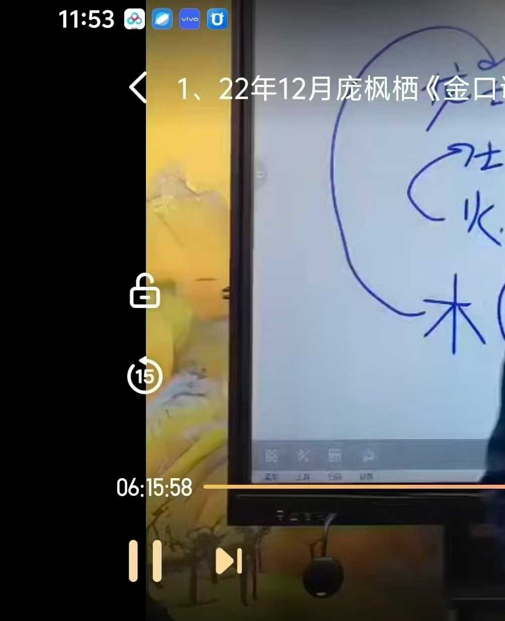 《庞枫栖老师金口诀》17集