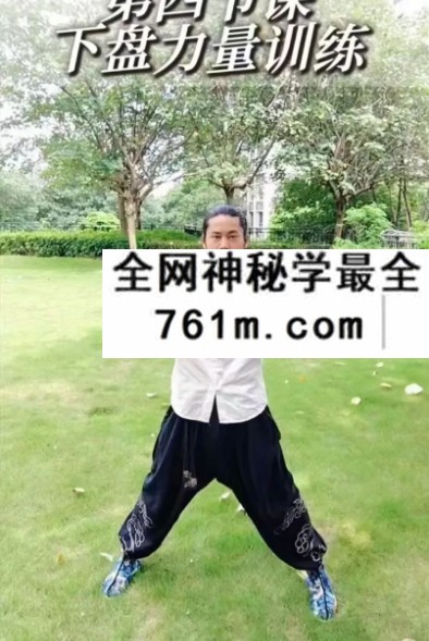 凌绝先生《功夫推拿全套手法》线上视频课12讲