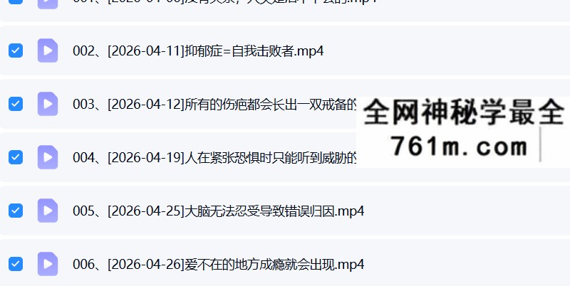 2026年 六日老师《深度心理案例》16集