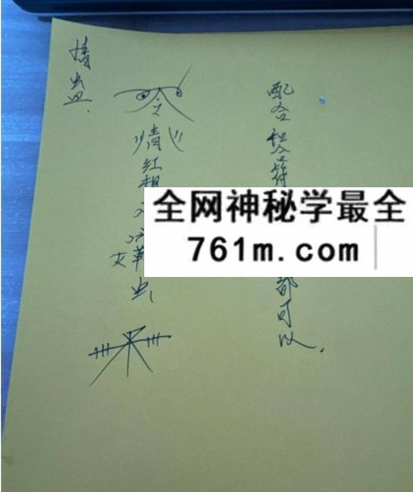 懋辰 师传情蛊术 音频+文档