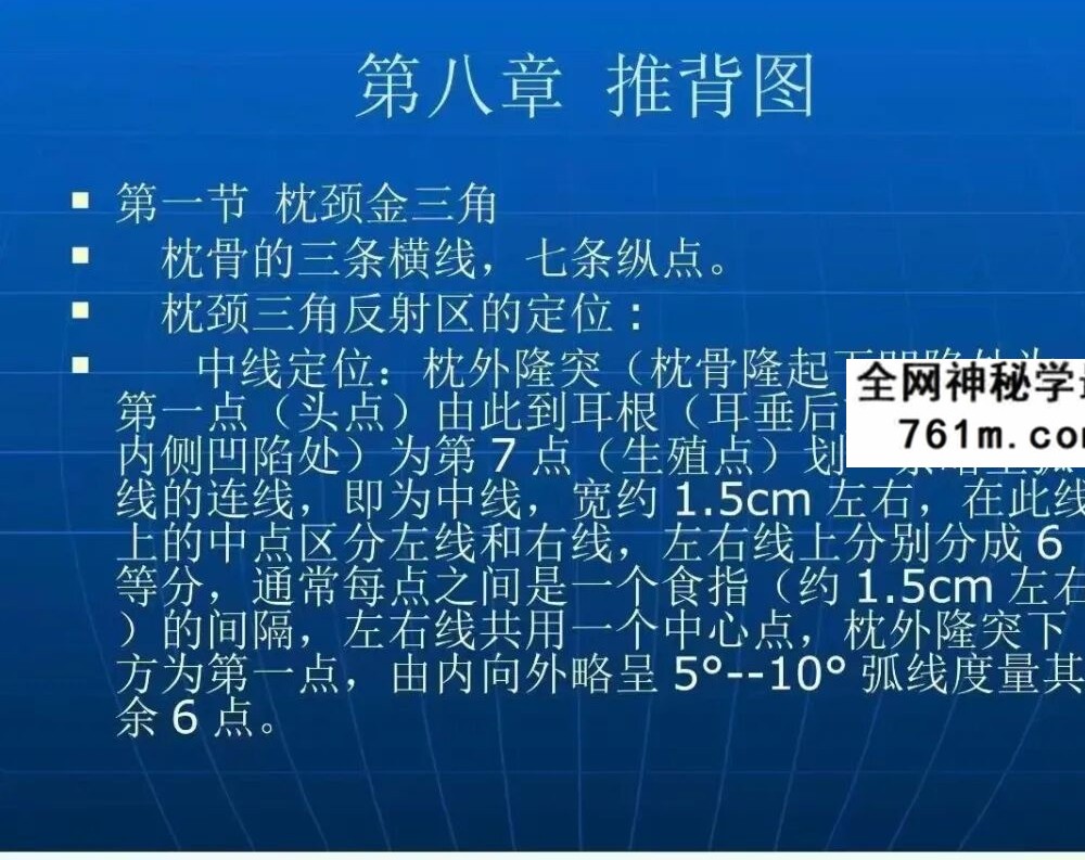 哲龙 金三角按摩手法 视频+配套资料