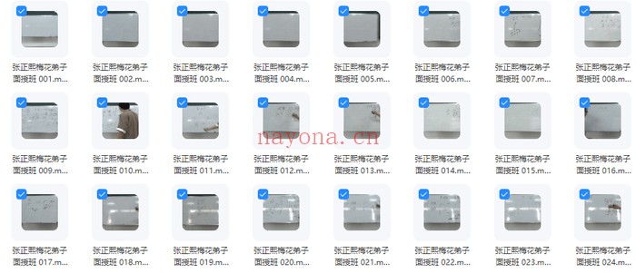 张正熙梅花弟子面授班49集视频 梅花易数