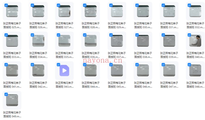 张正熙梅花弟子面授班49集视频 梅花易数