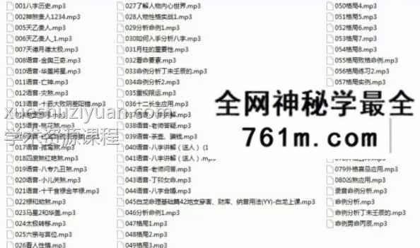 白龙八字象法命理基础课程+提高班课程合集 较多音频+资料