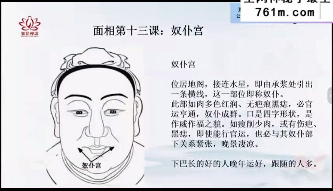 辰南老师麻衣相术课程视频20集