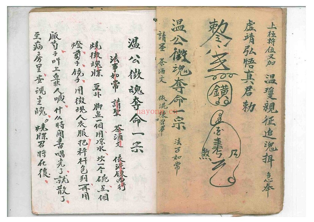 《争魂夺命符》