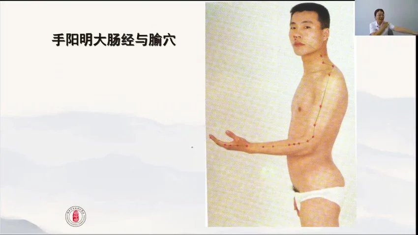 《一针疗法高级班》视频63集