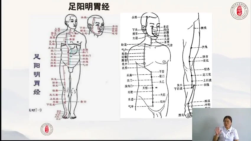 《一针疗法高级班》视频63集