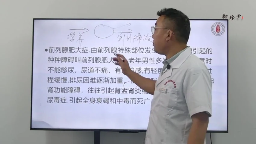 《道医全真派奇针刺络疗法二十三期》视频26集