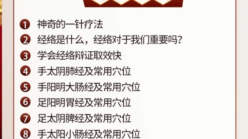 《一针疗法高级班》视频63集