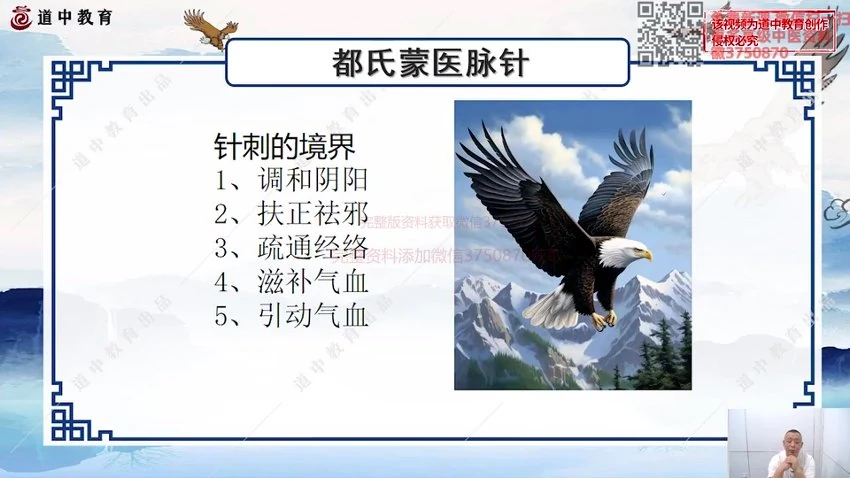 《都晓峰合集》视频25集