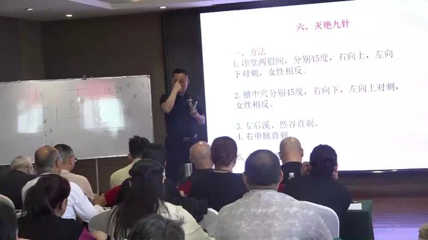 《道家针法93种绝技灭绝九针》视频7集