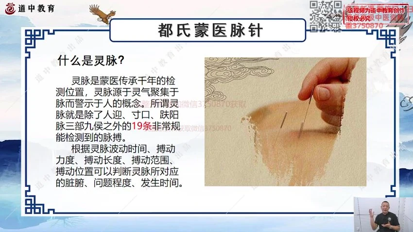 《都晓峰合集》视频25集