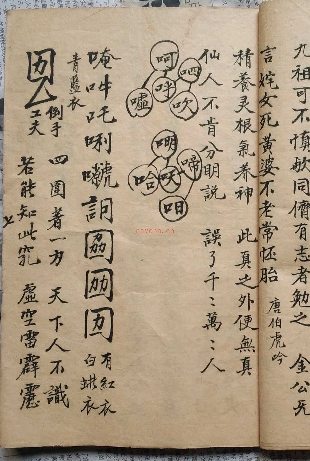 北极先天祖炁地司源流